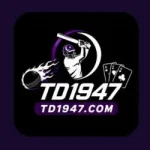 TD1947 Game
